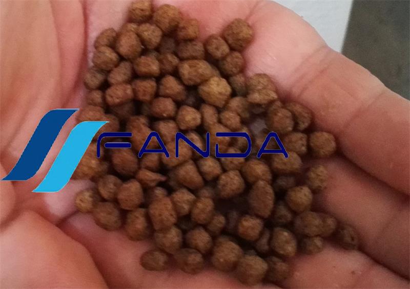 fish feed.jpg