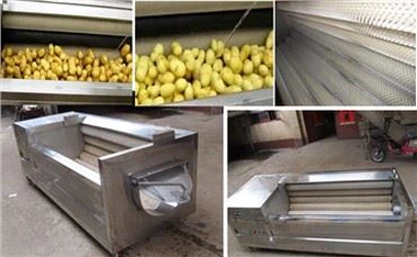 سیب زمینی هویج زنجبیل ماشین ظرفشویی سبزیجات ماشین لباسشویی میوه